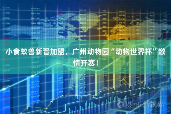 小食蚁兽新晋加盟，广州动物园“动物世界杯”激情开赛！