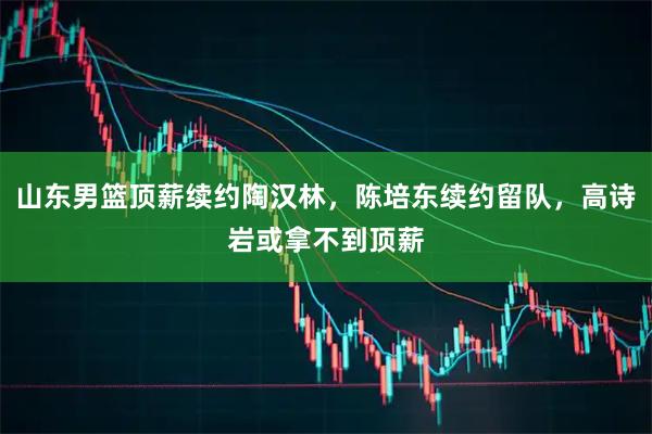 山东男篮顶薪续约陶汉林，陈培东续约留队，高诗岩或拿不到顶薪